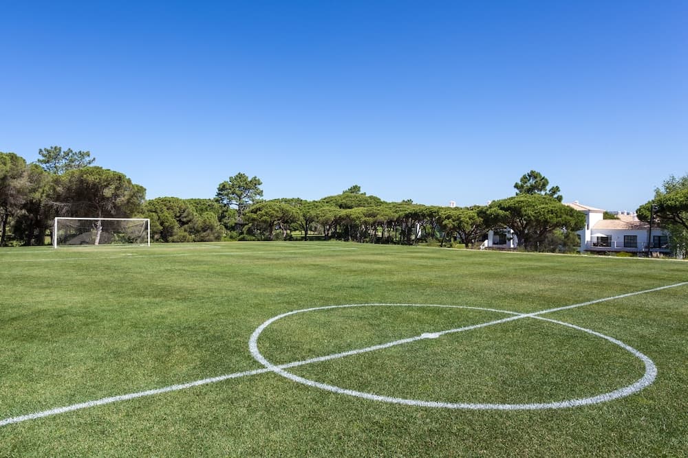 Sportveld