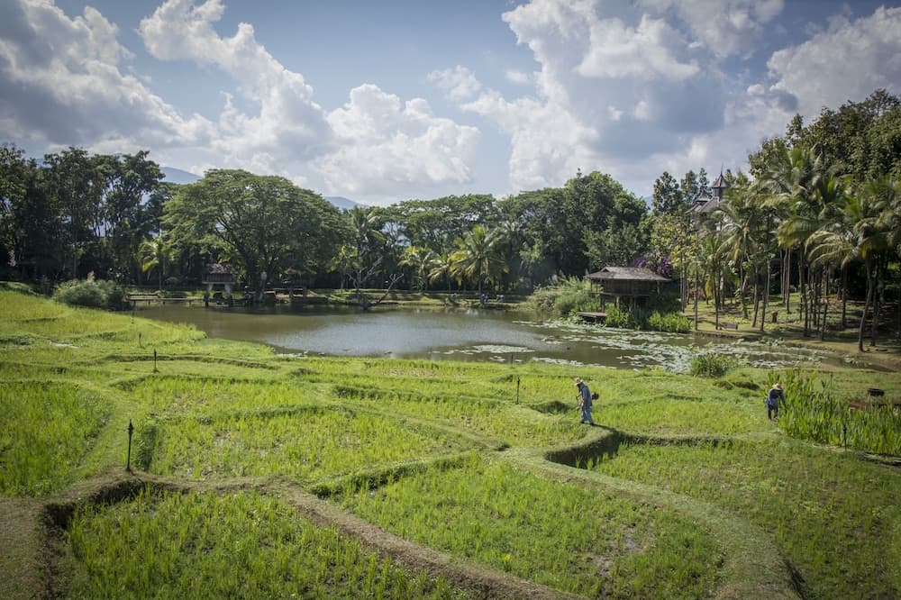 Uitzicht op de bergen
