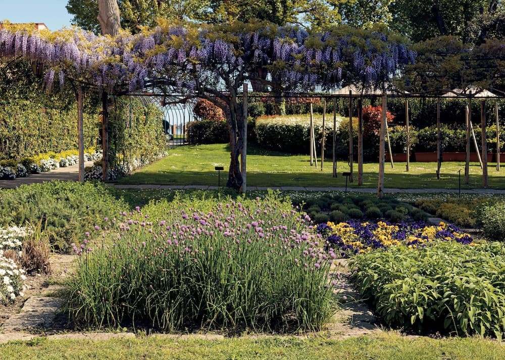 Tuin