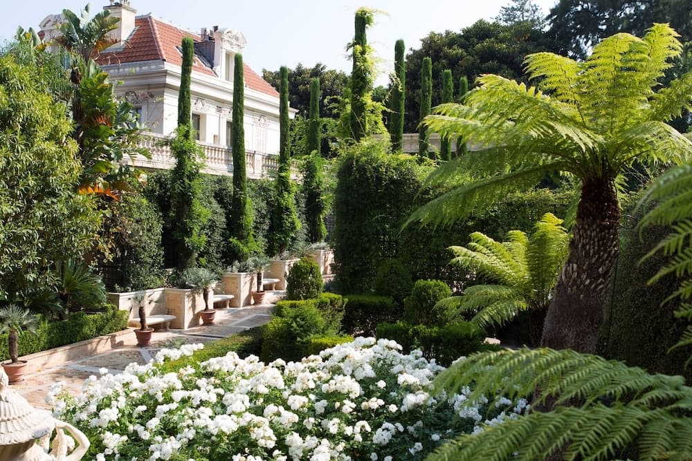 Terras