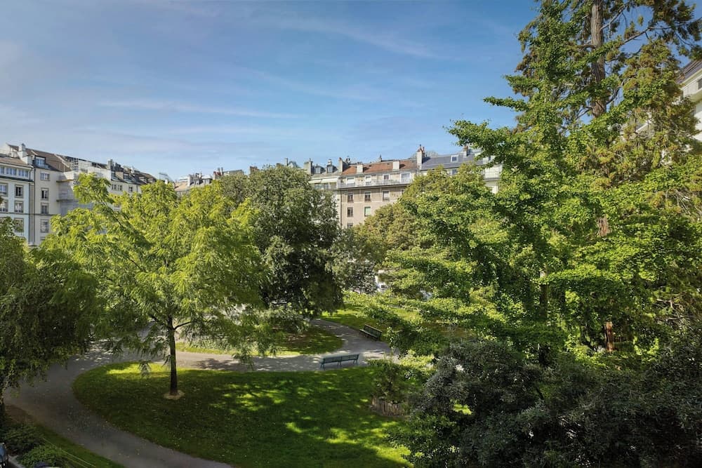 Uitzicht op het park