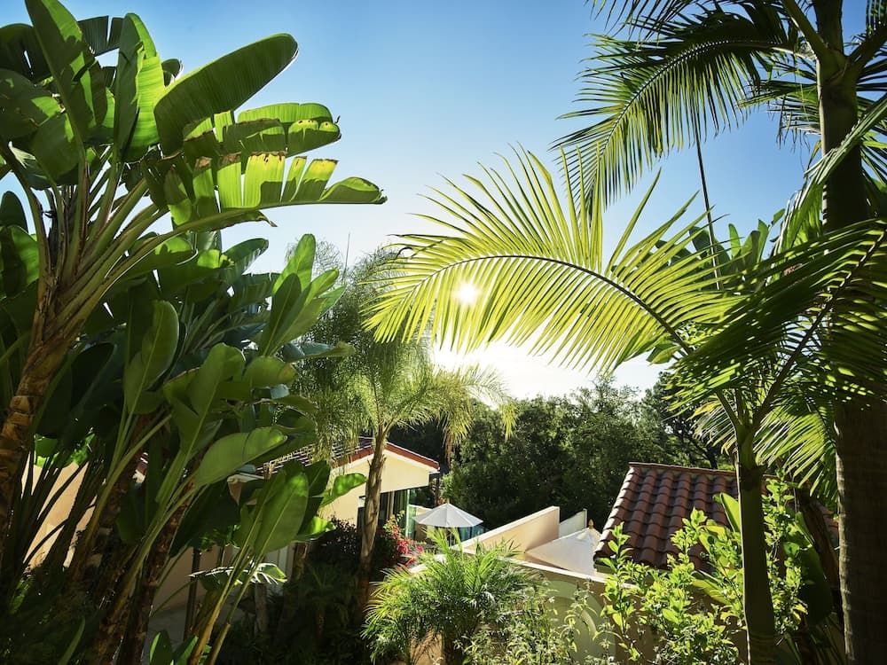 Uitzicht vanaf balkon