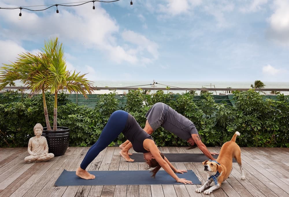Yoga