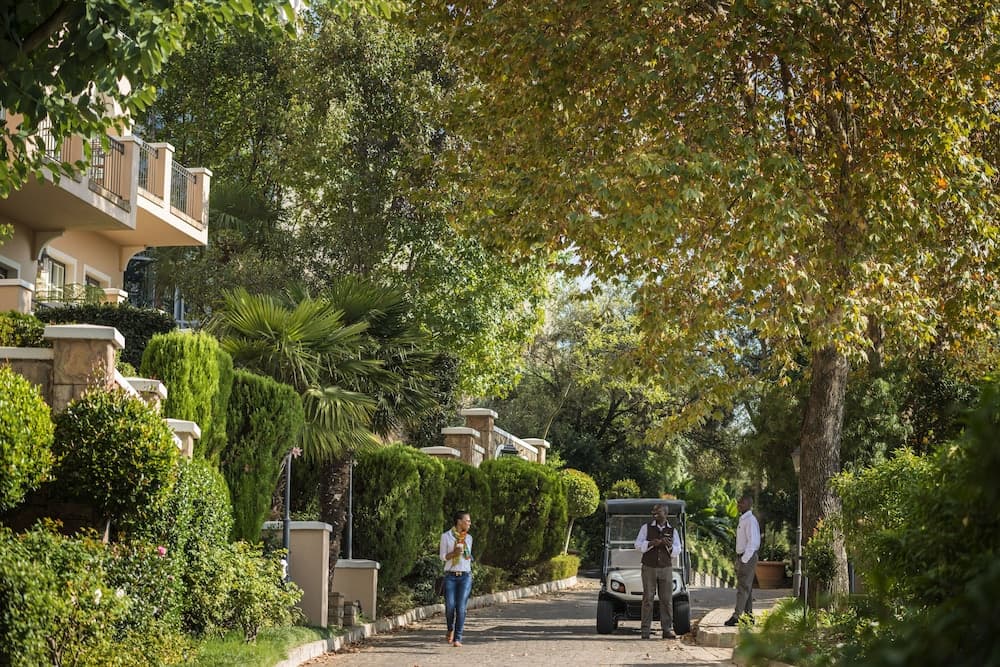 Terrein van de accommodatie