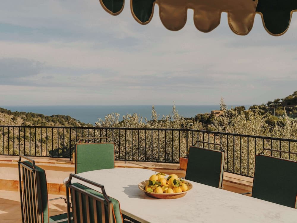 Terras