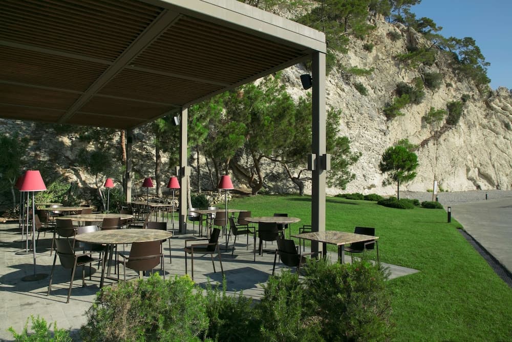 Terras