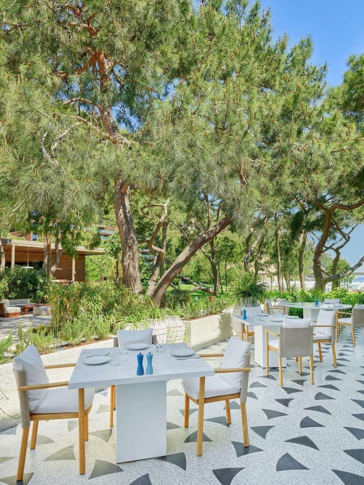 Terras