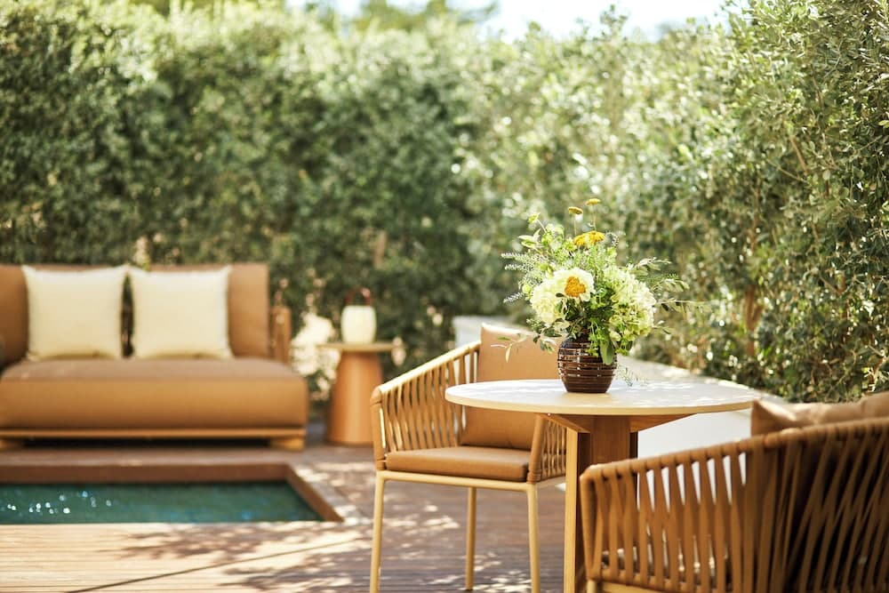 Terras