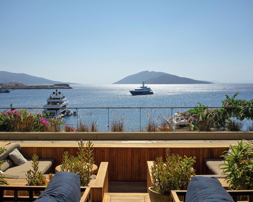 Terras