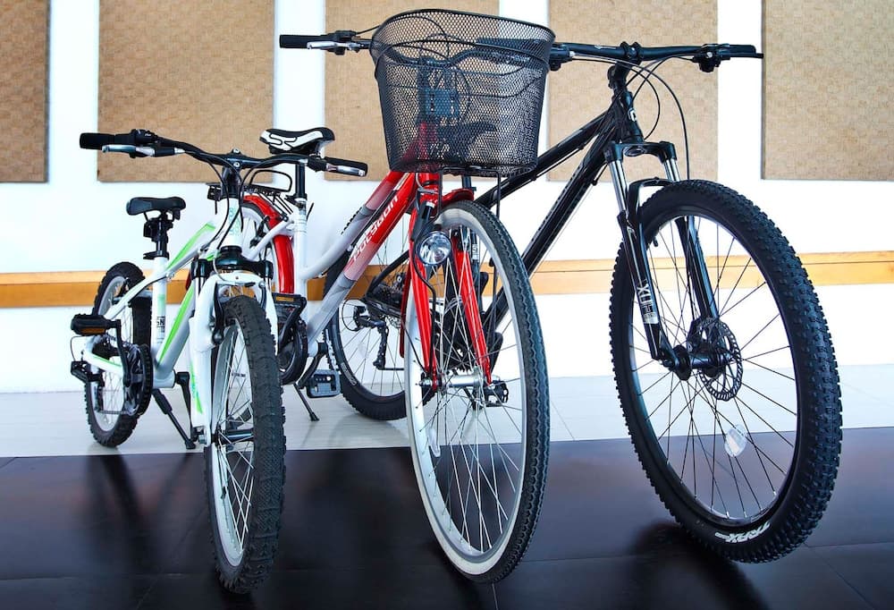 Fietsen
