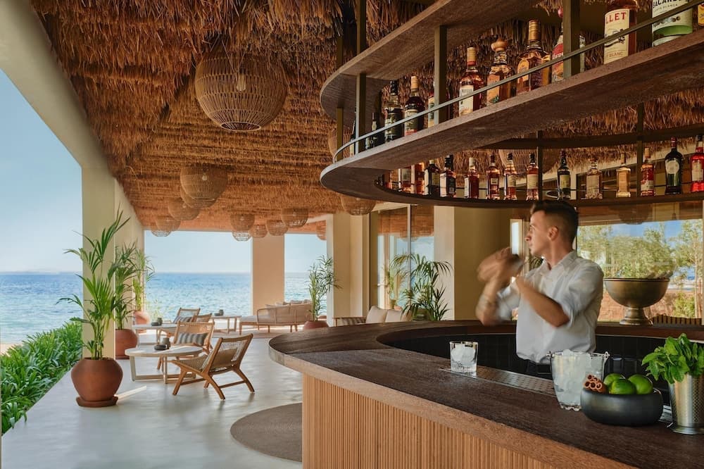 Bar (ter plaatse)