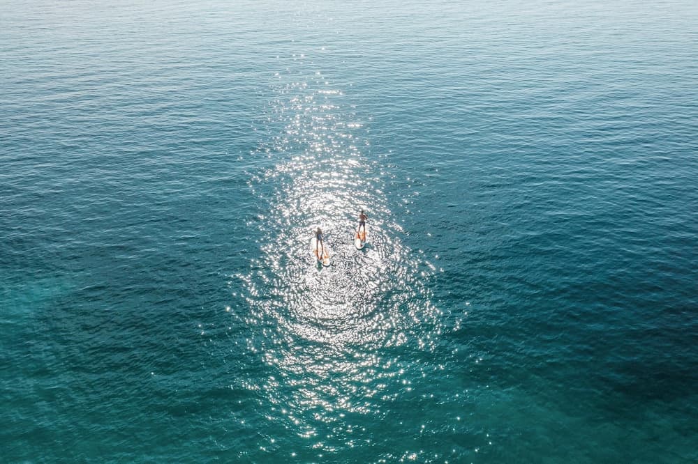 Surfen/boogieboarden