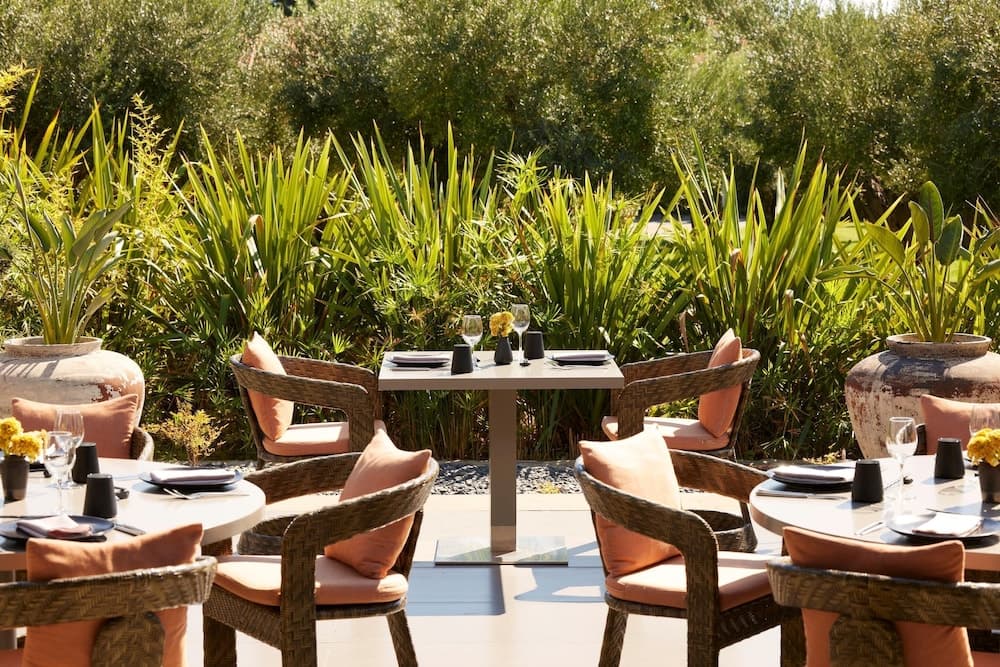 Terras