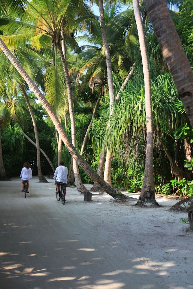 Fietsen
