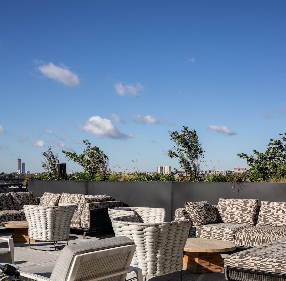 Terras