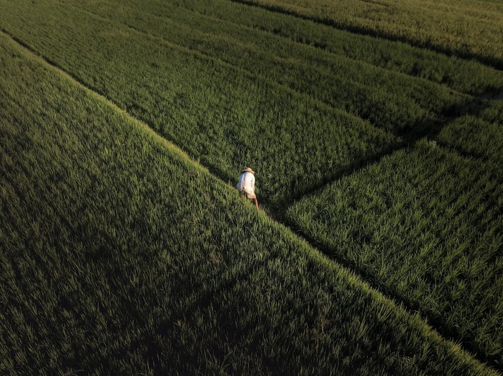 Luchtfoto