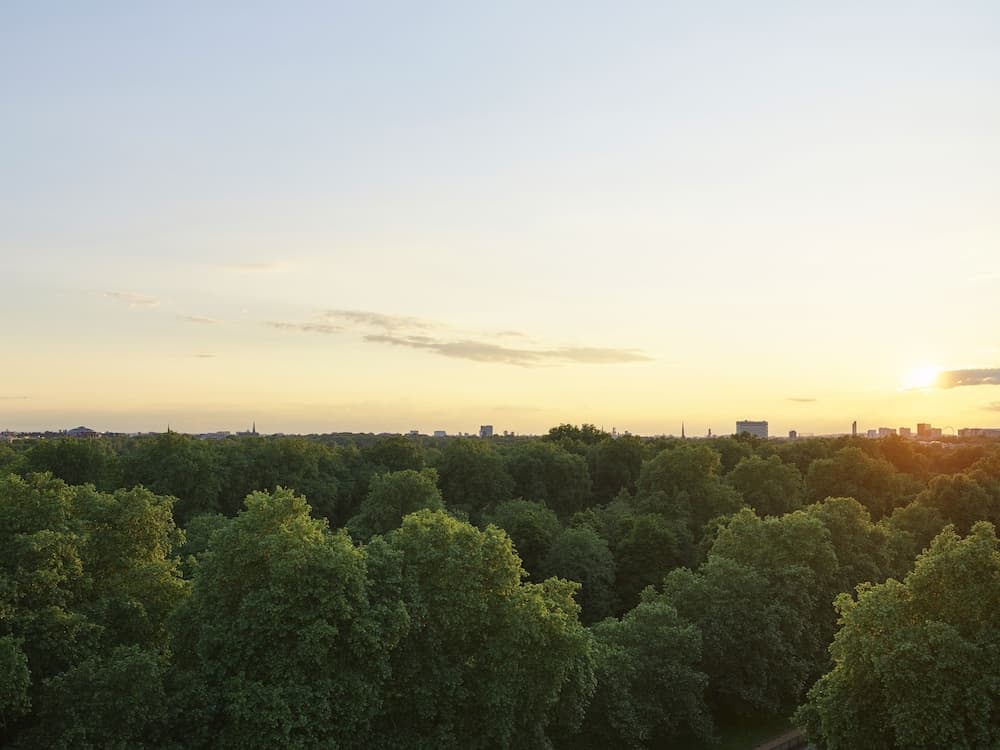 Uitzicht op het park