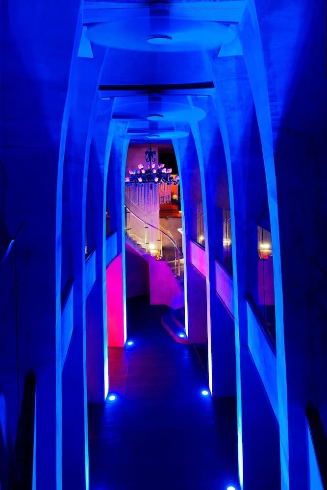 Bar (ter plaatse)