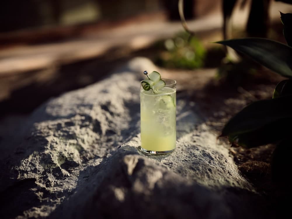 Bar (ter plaatse)