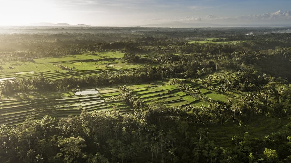 Luchtfoto