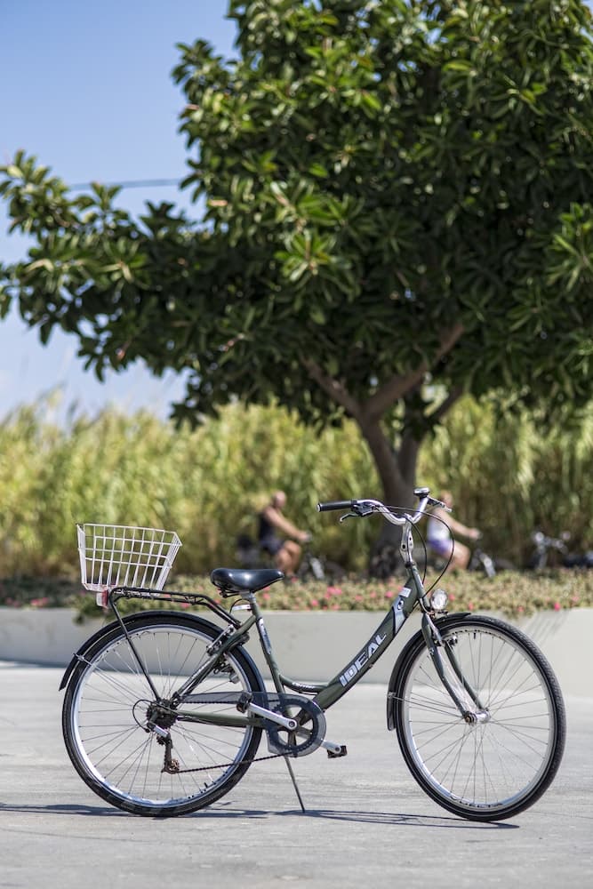 Fietsen