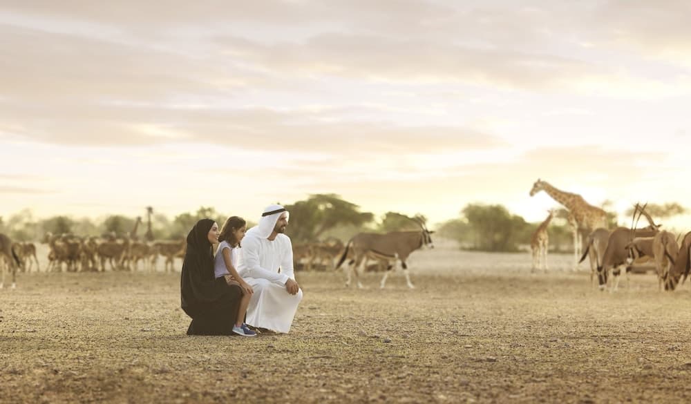 Safari