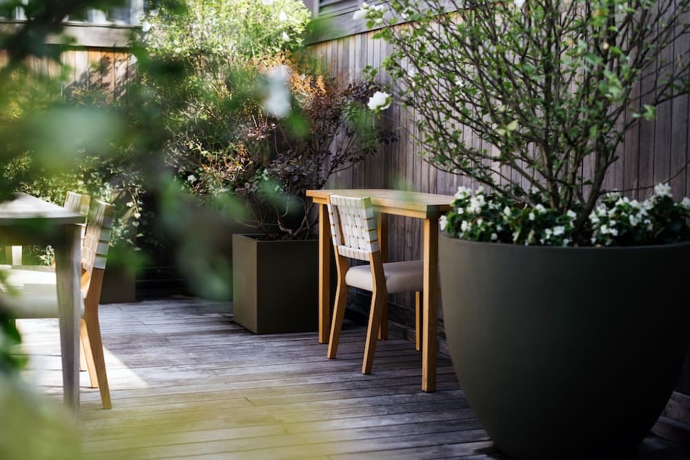 Terras