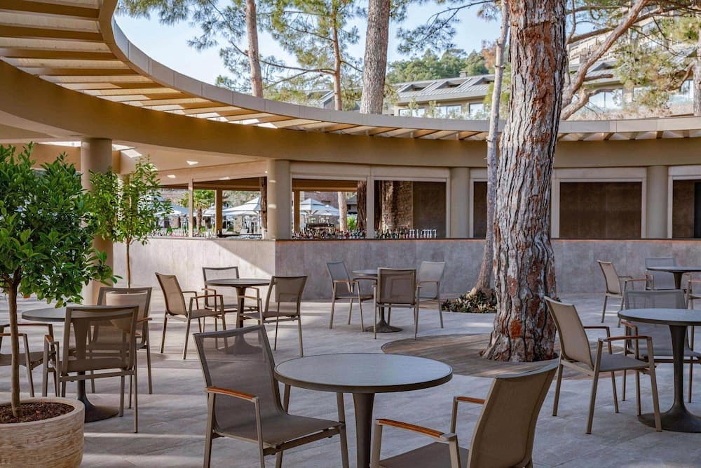 Swim-up bar