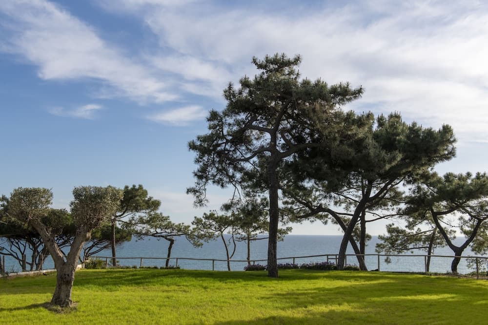 Uitzicht vanuit accommodatie