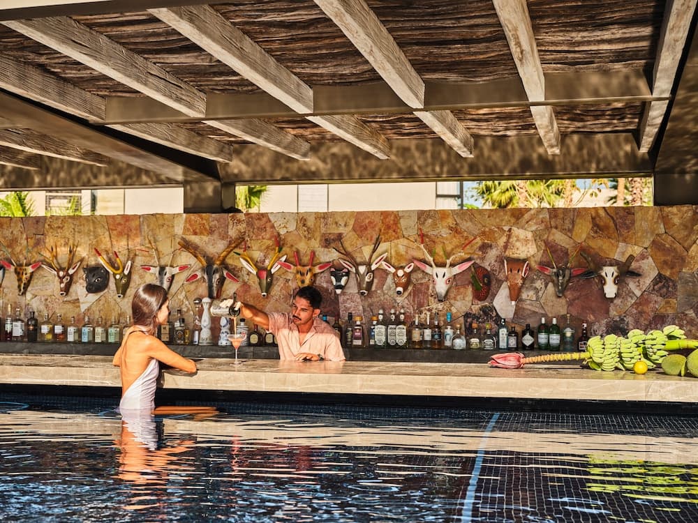 Swim-up bar
