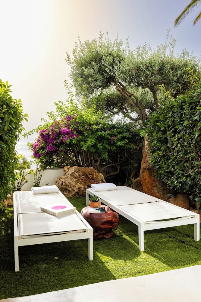 Terras