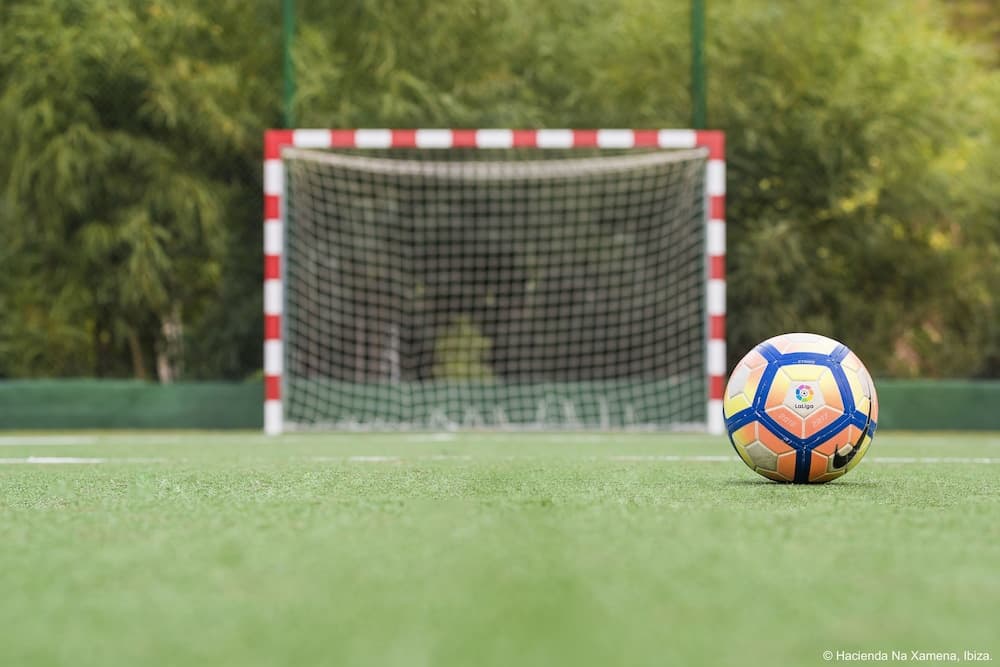 Sportveld